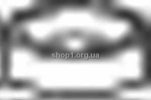 BOSAL 256-076 (256076) Прокладка выпускной системы